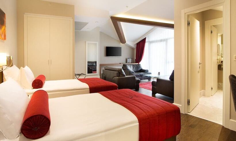 Fotos del hotel Veyron S & Spa:  9