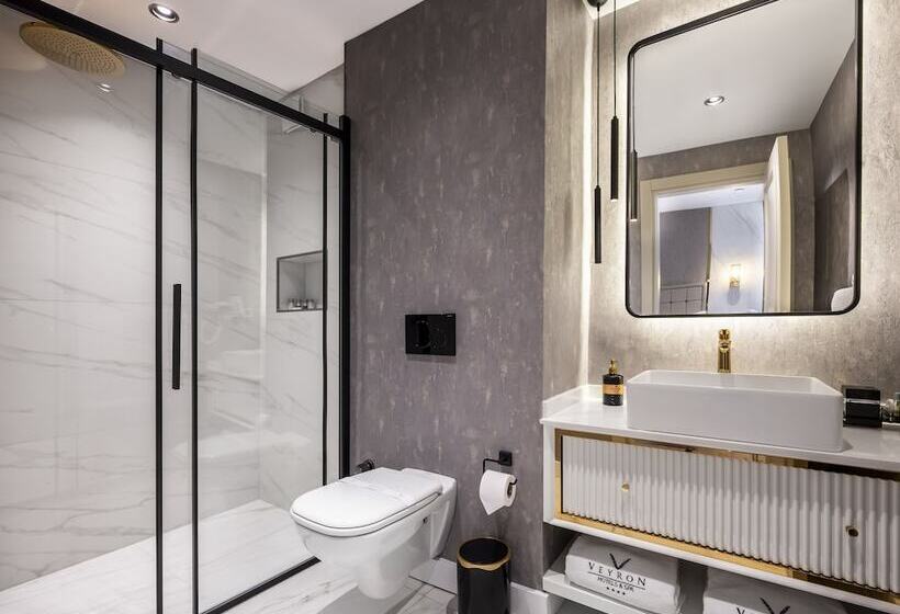 Fotos del hotel Veyron S & Spa:  13