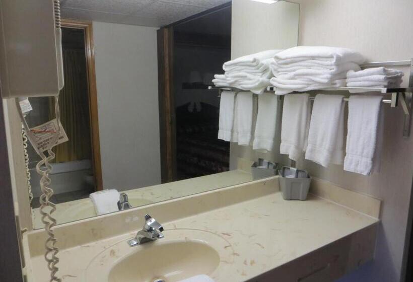 مُتل Riverside Motor Lodge Pigeon Forge