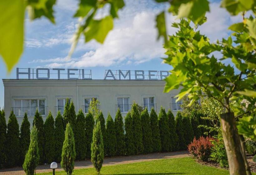 호텔 The Amber Business & Spa