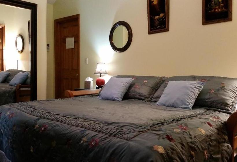 مبيت وإفطار The Roselea