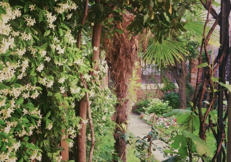 Fotos del hotel 3749 Pontechiodo:  10