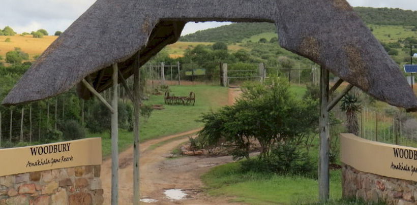 فندق Woodbury Tented Camp   Amakhala Game Reserve