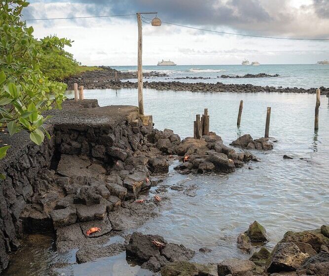 Fotos del hotel Galapagos Habitat By Eco Luxury Group:  27