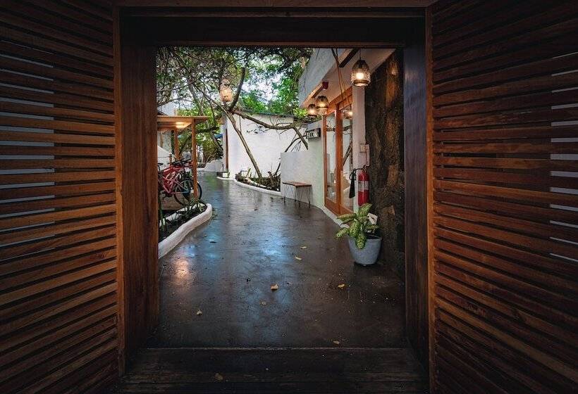Fotos del hotel Galapagos Habitat By Eco Luxury Group:  73