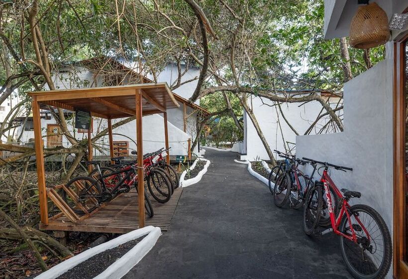 Fotos del hotel Galapagos Habitat By Eco Luxury Group:  85