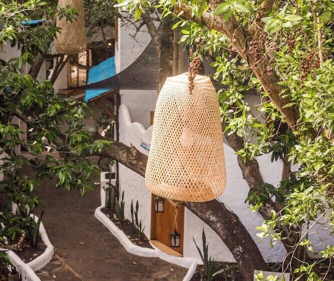 Fotos del hotel Galapagos Habitat By Eco Luxury Group:  106