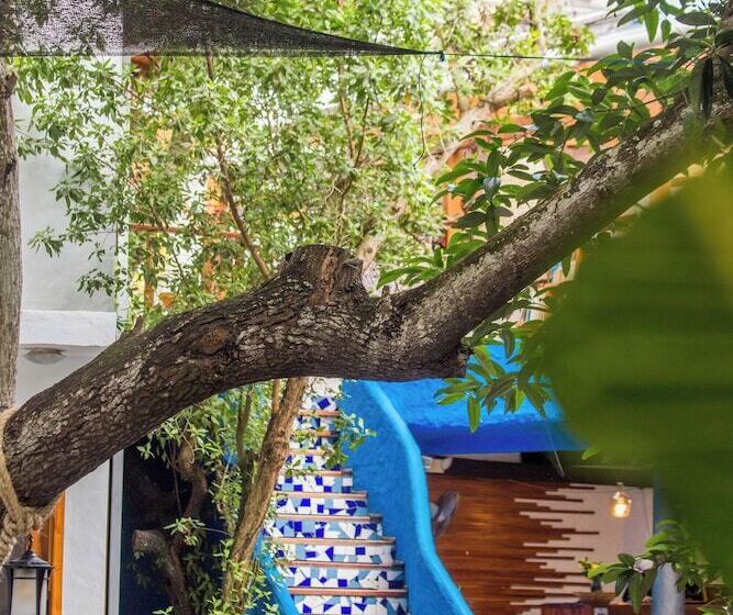 Fotos del hotel Galapagos Habitat By Eco Luxury Group:  107
