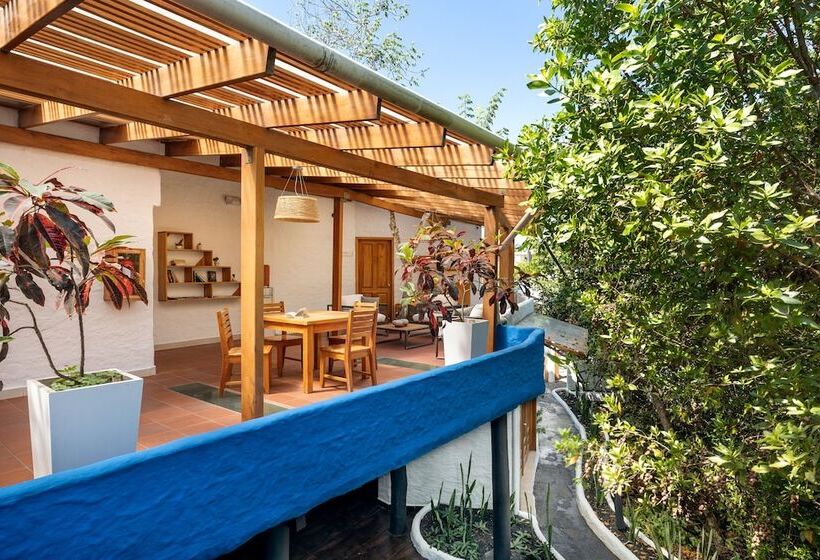 Fotos del hotel Galapagos Habitat By Eco Luxury Group:  111