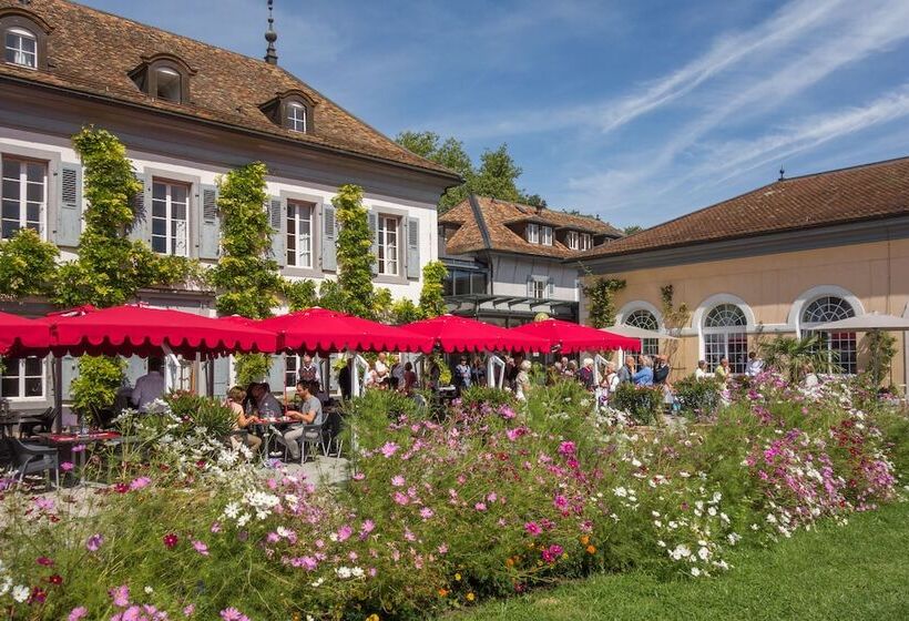 هتل Chateau De Bossey