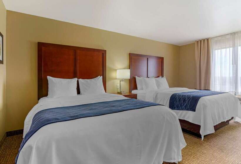 Hotel Comfort Inn And Suites Mandan  Bismarck