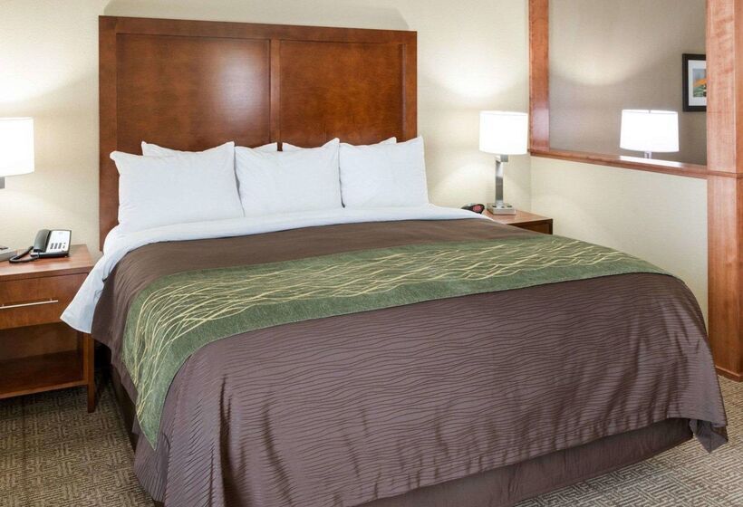 هتل Comfort Inn & Suites West   Medical Center