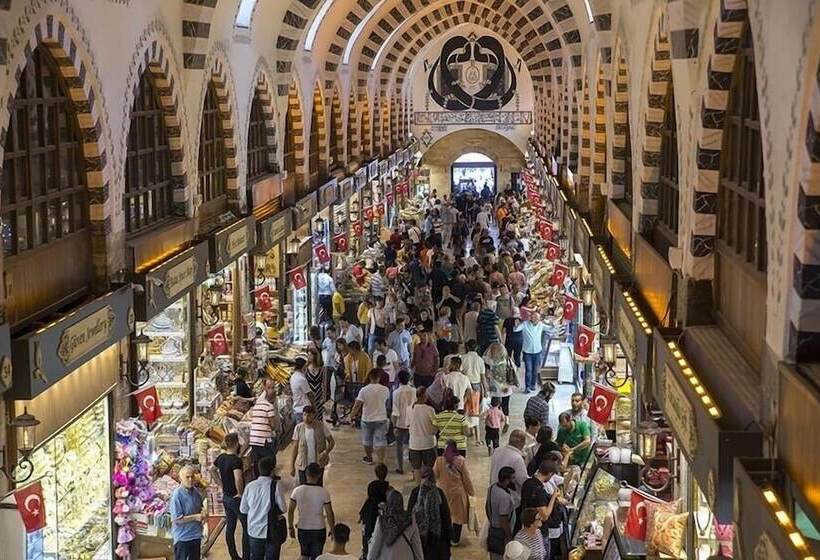 Fotos del hotel Gumus Palace:  12