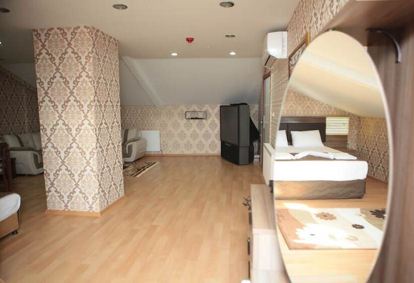 Fotos del hotel Gumus Palace:  2