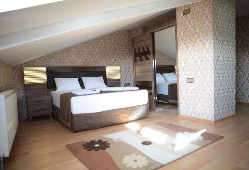 Fotos del hotel Gumus Palace:  6