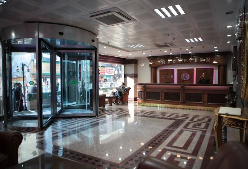 Fotos del hotel Gumus Palace:  11