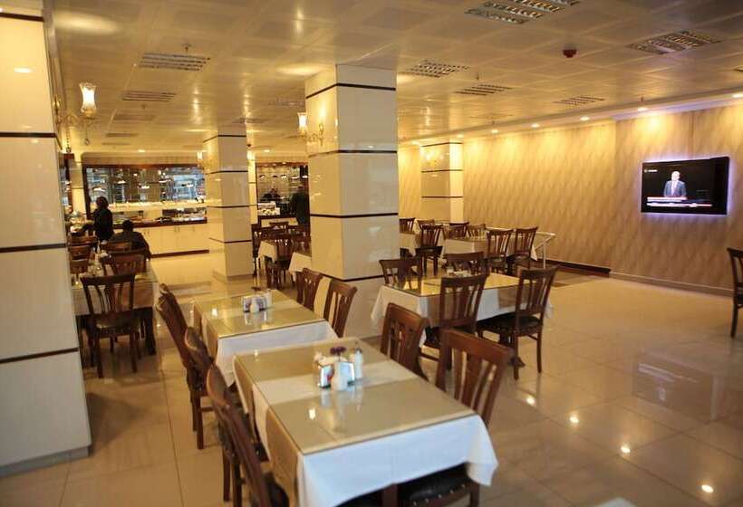 Fotos del hotel Gumus Palace:  21