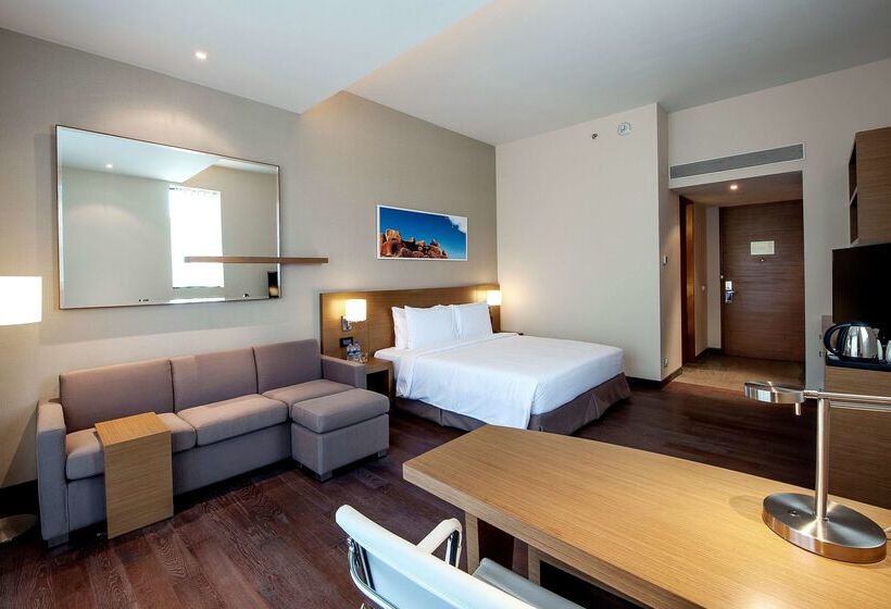 酒店 Hyatt Place Hampi