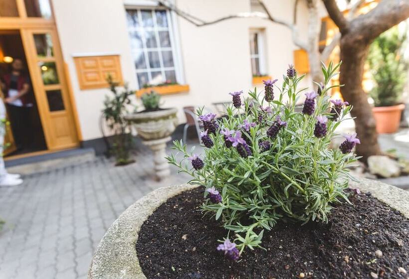 Fotos del hotel Karin:  29