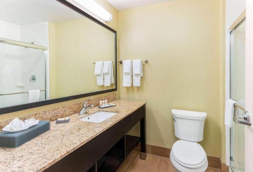 Hotel La Quinta Inn & Suites By Wyndham Carlsbad