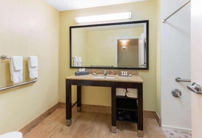 هتل La Quinta By Wyndham Carlsbad