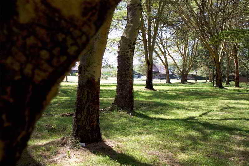 호텔 Lake Naivasha Resort