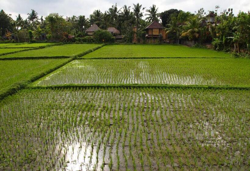 Fotos del hotel Saren Indah:  11