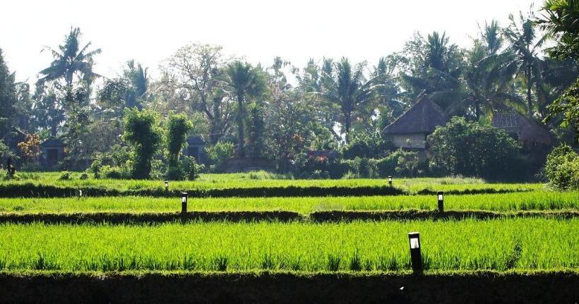 Fotos del hotel Saren Indah:  12