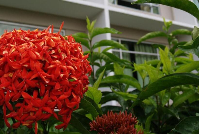 Fotos del hotel Straits View Hotel Jb:  12