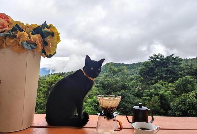 تختخواب و صبحانه Terre Terrace Glamping   Doichang