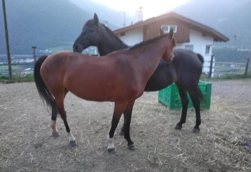 Отель Buehlerhof Agriturismo, Obst &weingut, Urlaub Mit Hund, Pferde, Bauernhof, Brixen