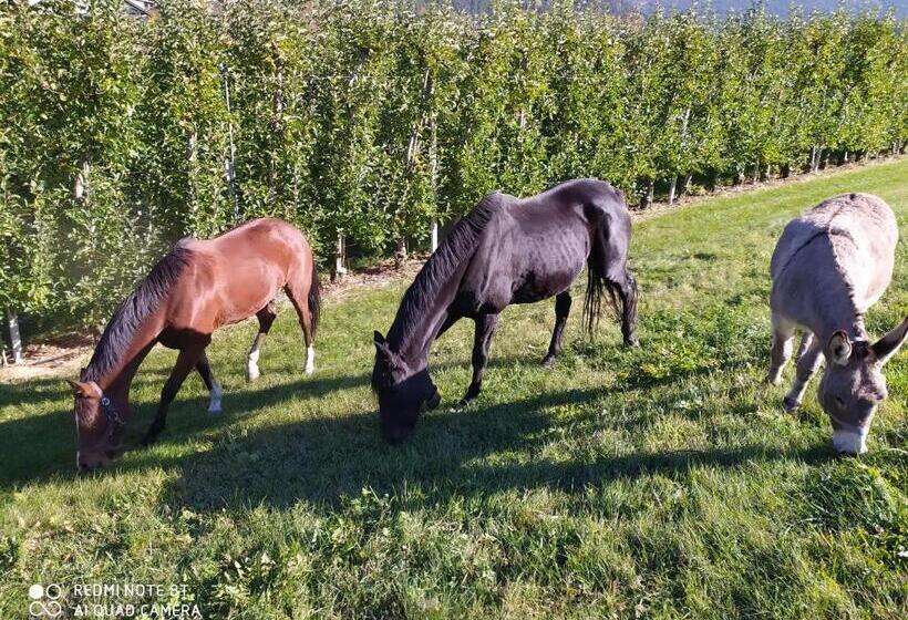 Отель Buehlerhof Agriturismo, Obst &weingut, Urlaub Mit Hund, Pferde, Bauernhof, Brixen