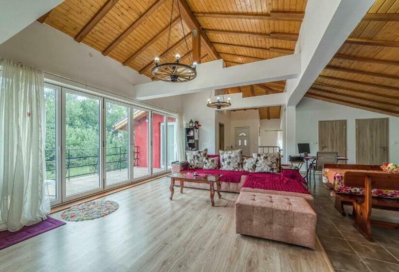 פנסיון Mountain View Lodge