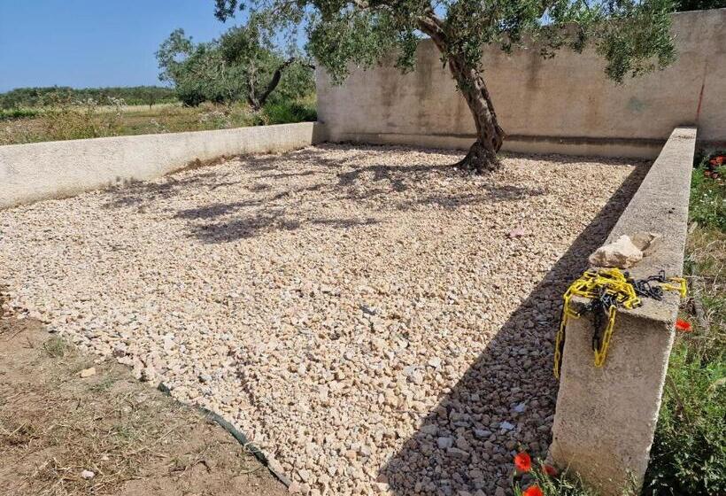 پانسیون Casa Vacanze Panorama Sulle Egadi