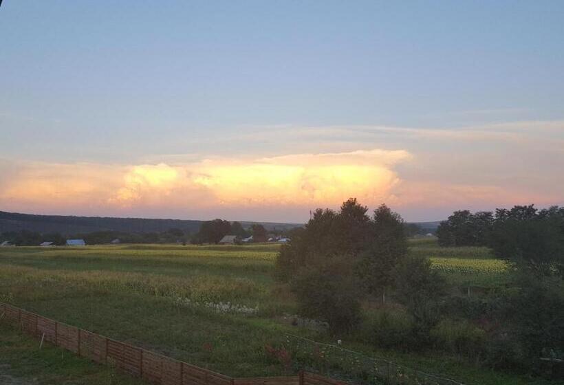 פנסיון Zestrea Bunicilor