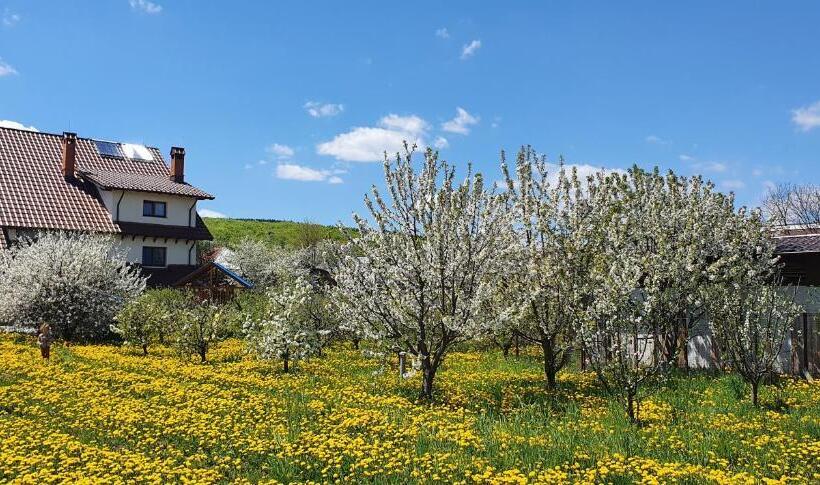 פנסיון Zestrea Bunicilor
