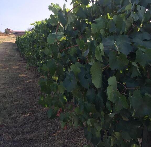 هاستل Affittacamere Maranello Locanda Moca