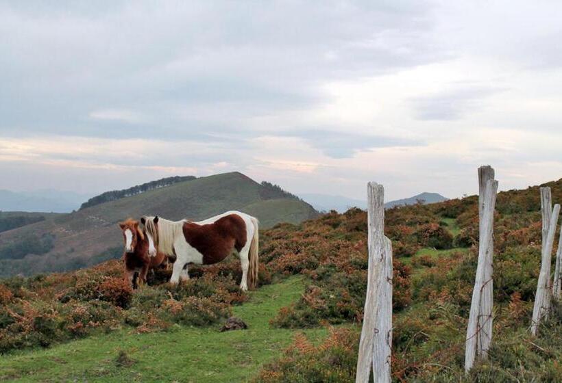 호스텔 Zubimuxu Aterpea