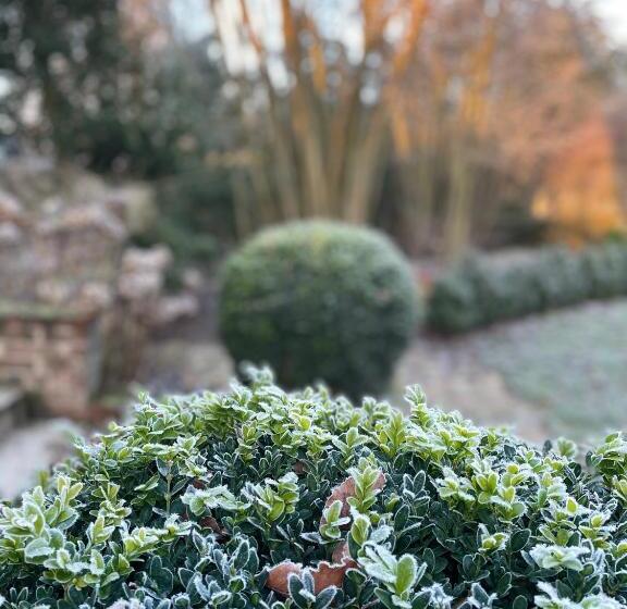 مبيت وإفطار L Atelier Des Magnolias