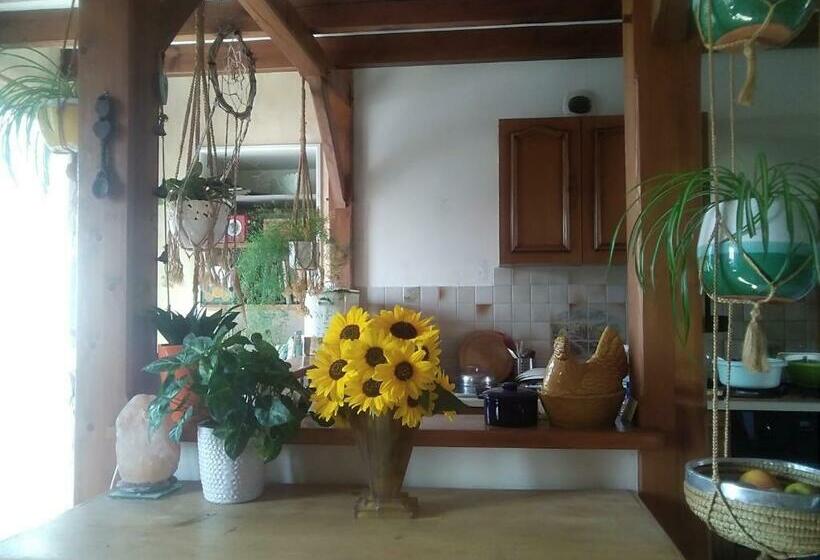 住宿加早餐  Les Tournesols