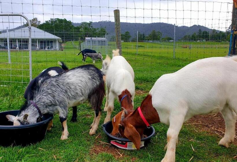酒店 Fig Tree Farm B&b Highvale Farmstay Near Brisbane!