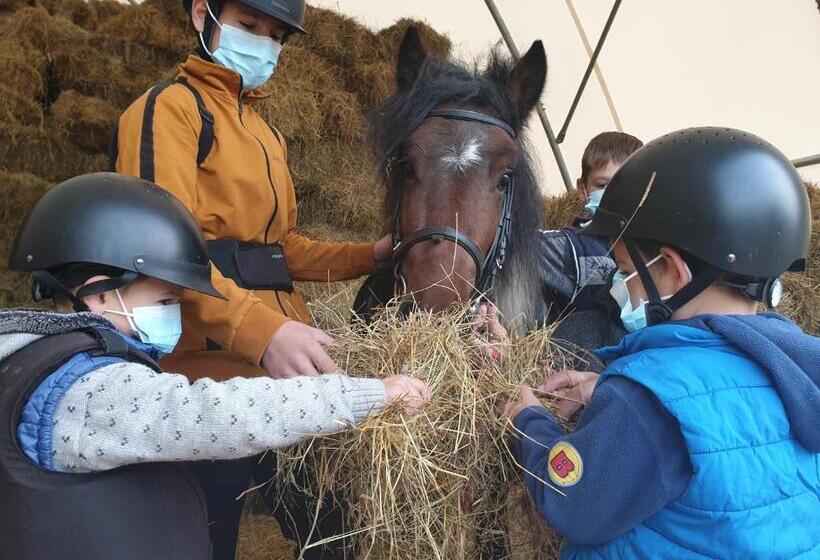 Отель Hobby Land Ranch Horse S Barn Guesthouse