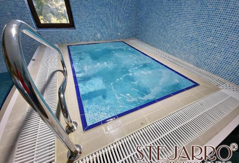 Отель Stejarro Conac Moldovenesc