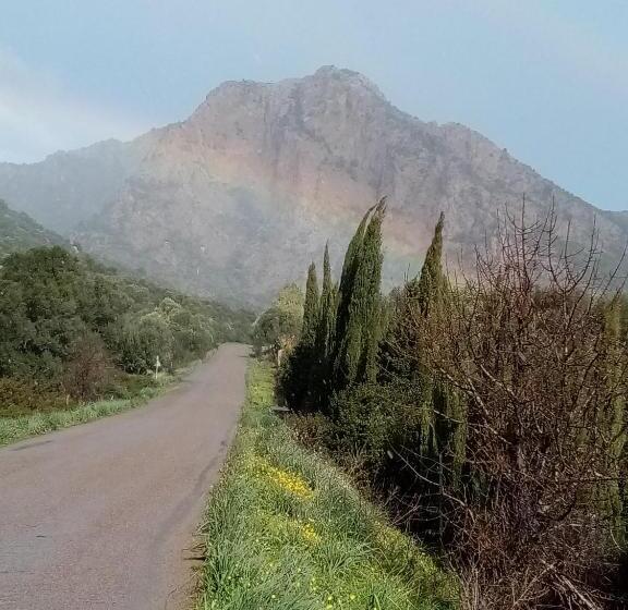 Отель Su Cappeddu Agriturismo