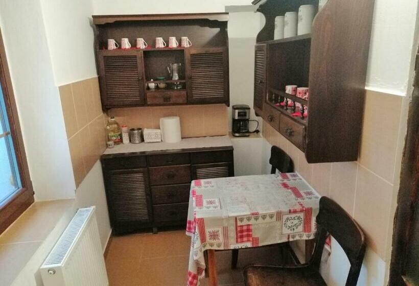 Пансион Casa Tradițională Transilvăneana