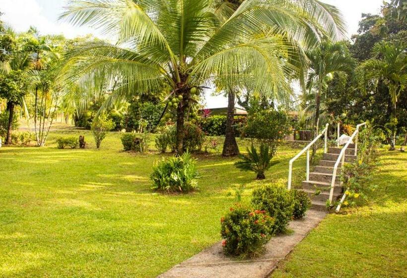 פנסיון Hostal Y Restaurante Los Tecales