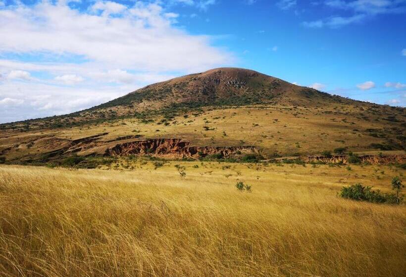 Пансион Thokazi Haven Guest House & Backpacker