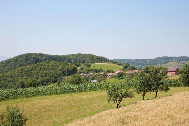 Pensiunea Rosia