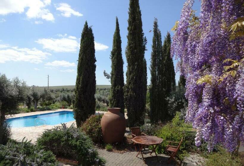 مبيت وإفطار Assumar Country House