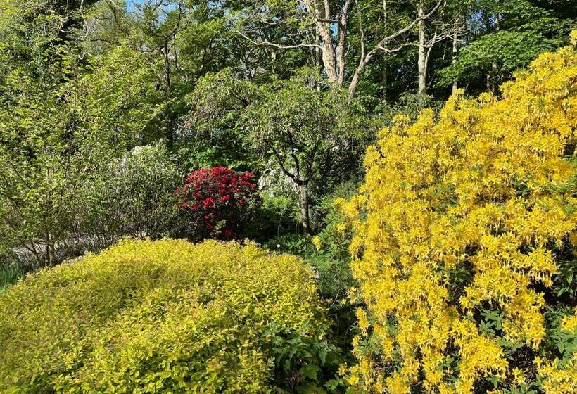 ベッドアンドブレックファースト D Alde Pastorije